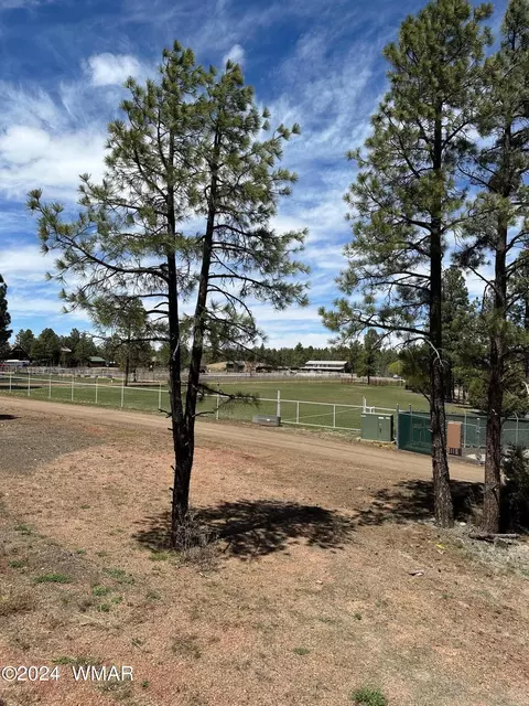 View/Area - 2963 Jacks Rd, Lakeside, AZ 85929 photo 9 of 10