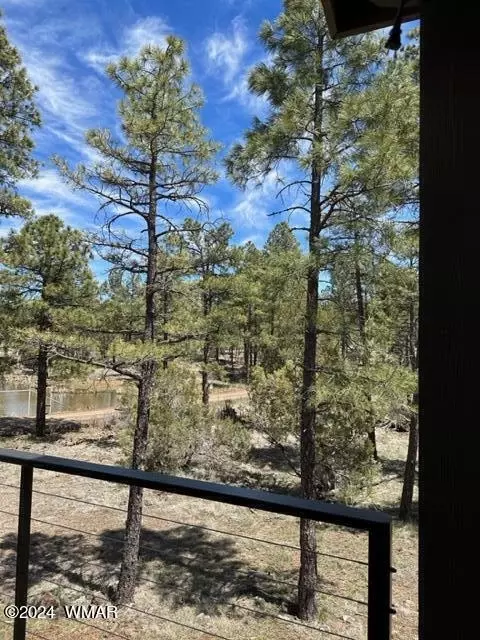 View/Area - 2963 Jacks Rd, Lakeside, AZ 85929 photo 7 of 10