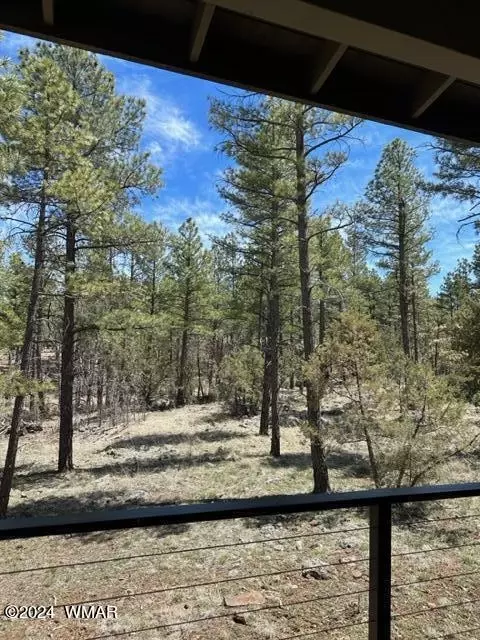 View/Area - 2963 Jacks Rd, Lakeside, AZ 85929 photo 6 of 10
