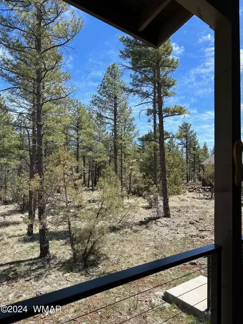 View/Area - 2963 Jacks Rd, Lakeside, AZ 85929 photo 10 of 10
