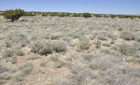 112 Ranch Dr, Concho, AZ 85924 photo 29