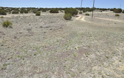 112 Ranch Dr, Concho, AZ 85924 photo 34