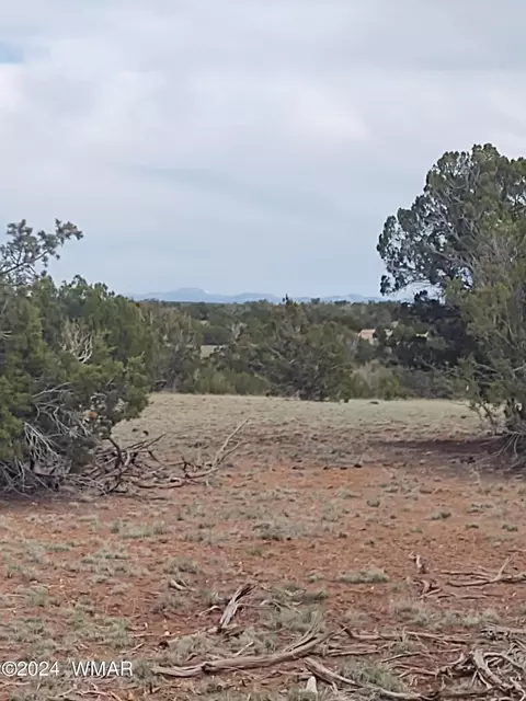 8920 Texas Ln, Show Low, AZ 85901