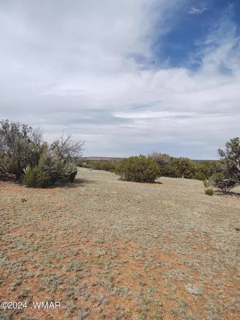 000 Tbd 404-54-006, Show Low, AZ 85901