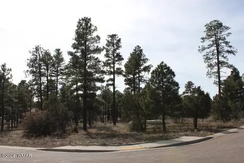 531 S Mountain Pines Ave #45, Show Low, AZ 85901