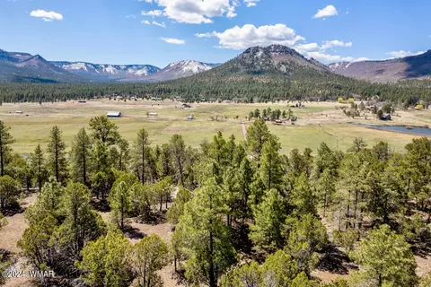 CR 2030 Forest Lane #TBD, Nutrioso, AZ 85932