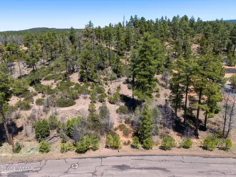 6007 Rim Rd, Lakeside, AZ 85929