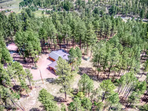 View/Area - 2 County Road N2148, Alpine, AZ 85920 photo 1 of 1