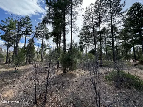 6992 Wagon Wheel Ln, Lakeside, AZ 85929