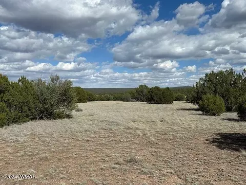 tbd N 8201 #LOT B, Concho, AZ 85924