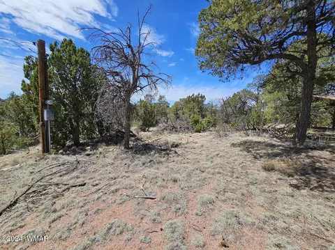 3680 Enchanted Forest Dr, Overgaard, AZ 85933 photo 22