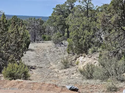 3680 Enchanted Forest Dr, Overgaard, AZ 85933 photo 2