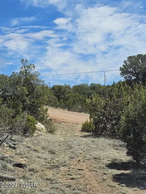 3680 Enchanted Forest Dr, Overgaard, AZ 85933 photo 3