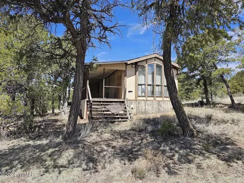 3680 Enchanted Forest Dr, Overgaard, AZ 85933 photo 6