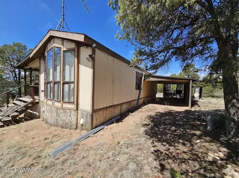 3680 Enchanted Forest Dr, Overgaard, AZ 85933 photo 4