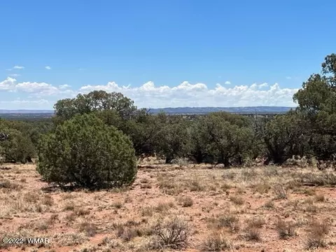 4135 Apache Rd, Snowflake, AZ 85937