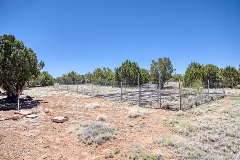 217 County Rd, Concho, AZ 85924 photo 24