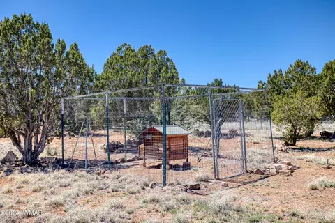 217 County Rd, Concho, AZ 85924 photo 23