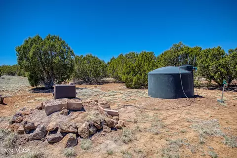 217 County Rd, Concho, AZ 85924 photo 28
