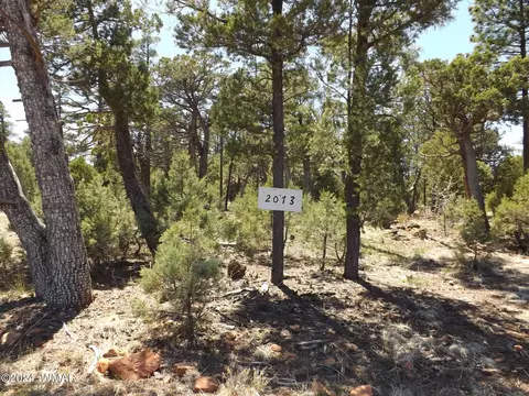2073 Gilbert Ln, Overgaard, AZ 85933 photo 1