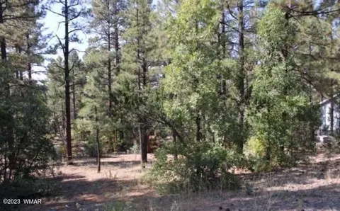 1160 S Cherokee Dr, Show Low, AZ 85901