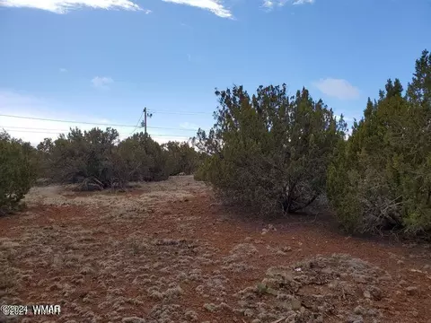 8580 Silver Creek Dr, Show Low, AZ 85901
