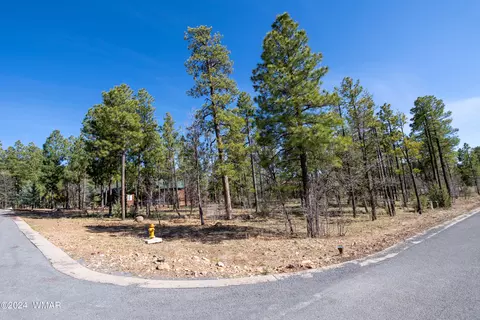 2527 Cedar Pine Ln, Lakeside, AZ 85929