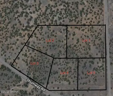 0 Shumway Rd #LOT 4, Taylor, AZ 85939