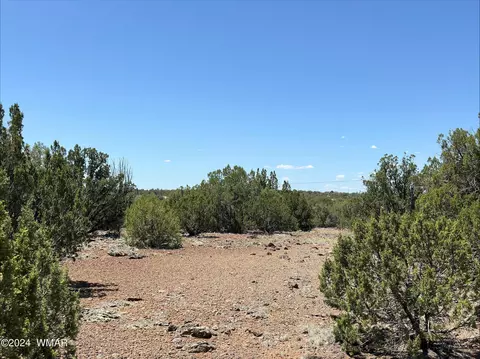 2247 Maslanko Ln, Show Low, AZ 85901