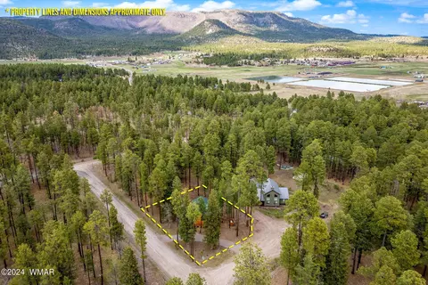 View/Area - 24 County Rd 2196, Alpine, AZ 85920 photo 1 of 5
