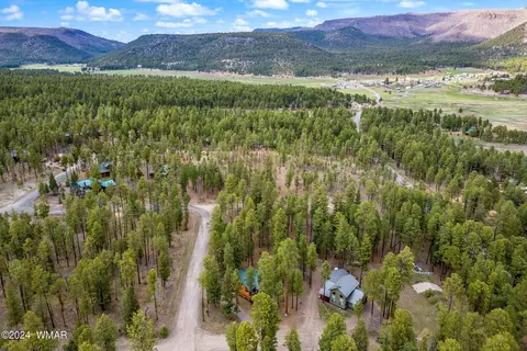 View/Area - 24 County Rd 2196, Alpine, AZ 85920 photo 3 of 5