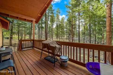 Exterior - 24 County Rd 2196, Alpine, AZ 85920 photo 5 of 6