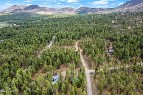 View/Area - 24 County Rd 2196, Alpine, AZ 85920 photo 5 of 5