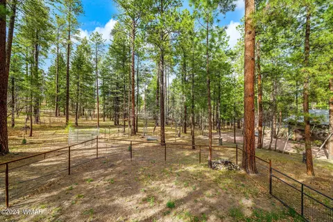 Exterior - 24 County Rd 2196, Alpine, AZ 85920 photo 6 of 6