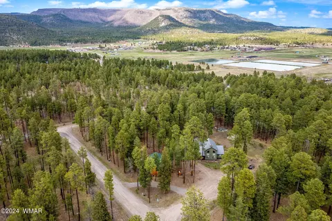 View/Area - 24 County Rd 2196, Alpine, AZ 85920 photo 2 of 5