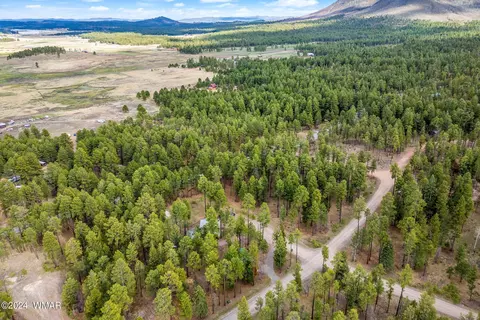 View/Area - 24 County Rd 2196, Alpine, AZ 85920 photo 4 of 5