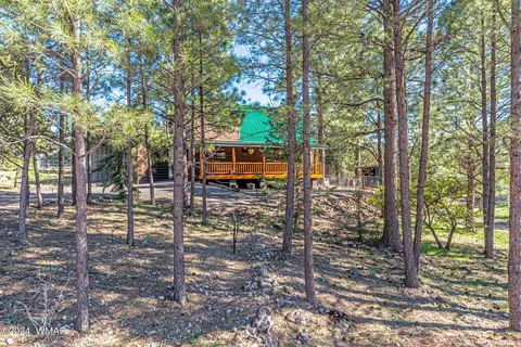 1991 Twin Pines Trl, Overgaard, AZ 85933