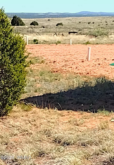 5577 Az Route 277, Snowflake, AZ 85937
