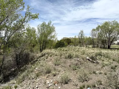 tbd Bond St, Eagar, AZ 85925 photo 4