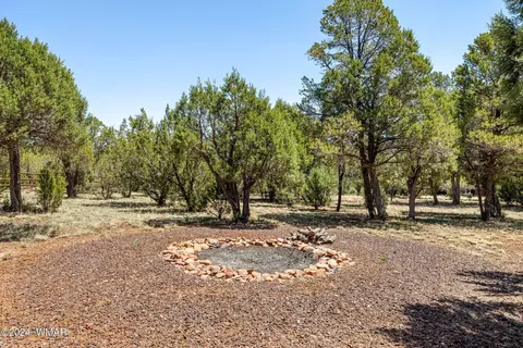 Other - 2749 Apollo Cir, Overgaard, AZ 85933 photo 5 of 7