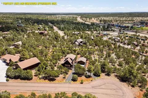 View/Area - 2749 Apollo Cir, Overgaard, AZ 85933 photo 3 of 6