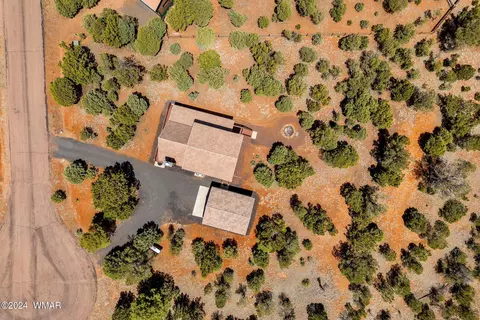 View/Area - 2749 Apollo Cir, Overgaard, AZ 85933 photo 5 of 6