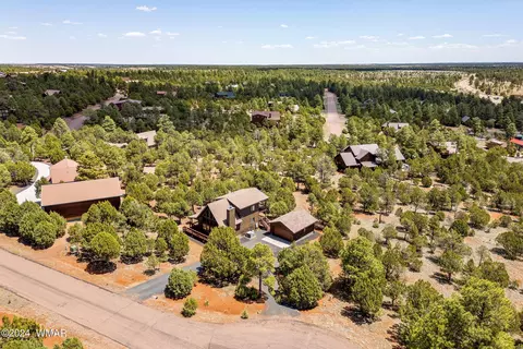 View/Area - 2749 Apollo Cir, Overgaard, AZ 85933 photo 2 of 6