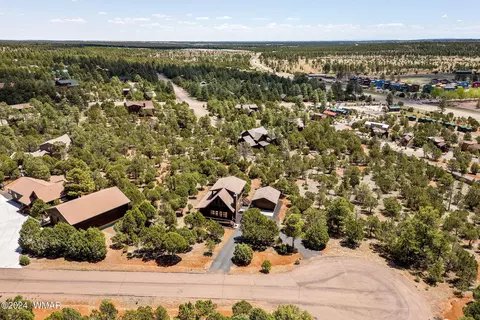 View/Area - 2749 Apollo Cir, Overgaard, AZ 85933 photo 4 of 6