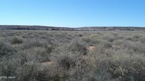 00 Chambers, Chambers, AZ 86502 photo 7