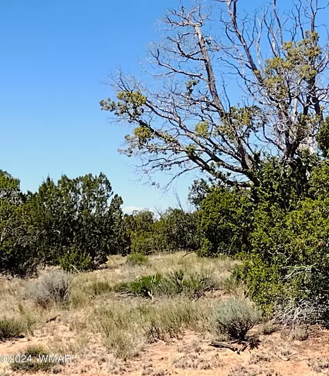 lot46 A Witch Well Rnch, Saint Johns, AZ 85936
