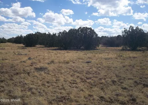82 County Rd, Concho, AZ 85924 photo 4