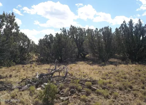 82 County Rd, Concho, AZ 85924 photo 3