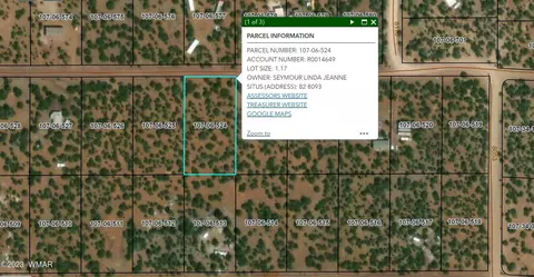 82 County Rd, Concho, AZ 85924 photo 5