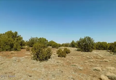 82 County Rd, Concho, AZ 85924 photo 2
